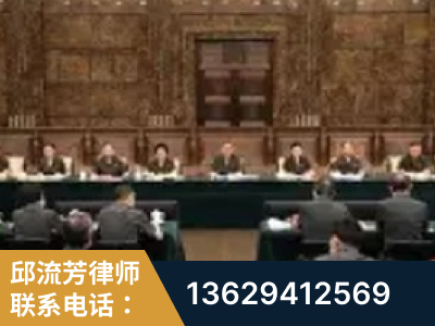 随州-疑难刑事案件处理