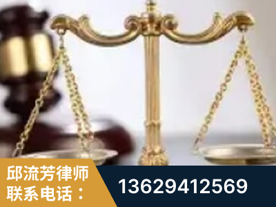 随州-委托诉讼代理人出庭